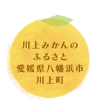 川上みかんの故郷愛媛県八幡浜市川上町