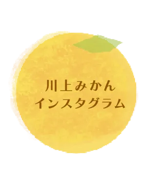 川上みかんインスタグラム