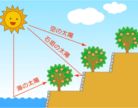 3つ太陽が育む川上みかん_画像1