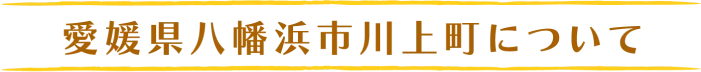 愛媛県八幡浜市川上町について