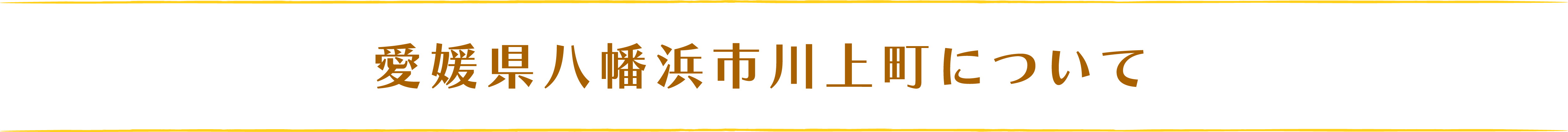 愛媛県八幡浜市川上町について