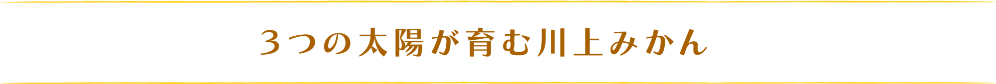 3つ太陽が育む川上みかん