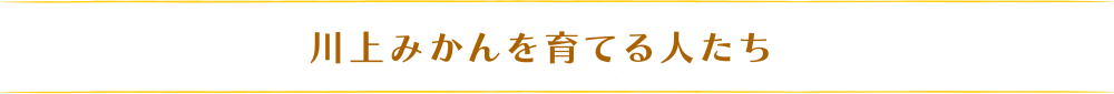 川上みかんを育てる人たち